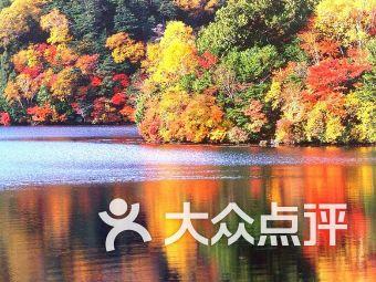 逃离声望森林